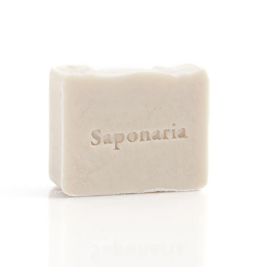 Savon Saponaria | Coton