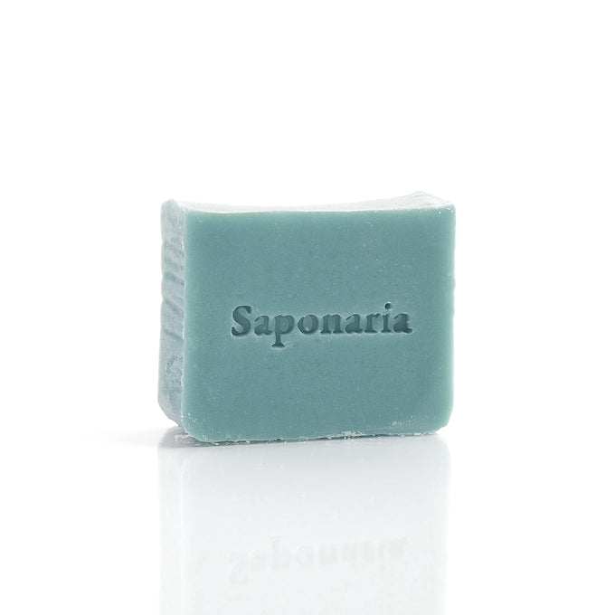 Saponaria Soap | Eucalyptus